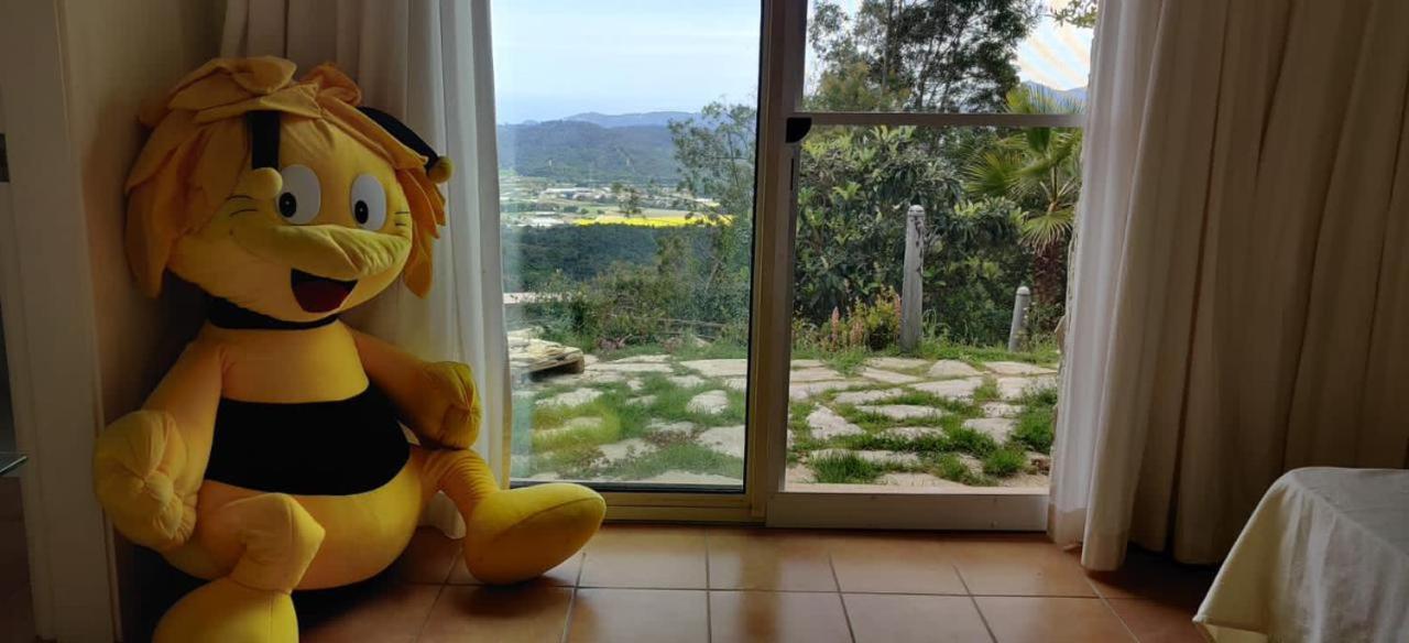 Mas Nou Villa